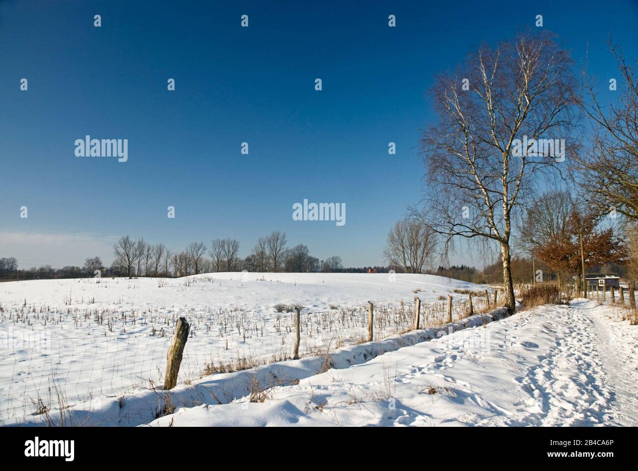 Wonderful rural country landscape on a cold winter day in nothern Germany Stock Photo