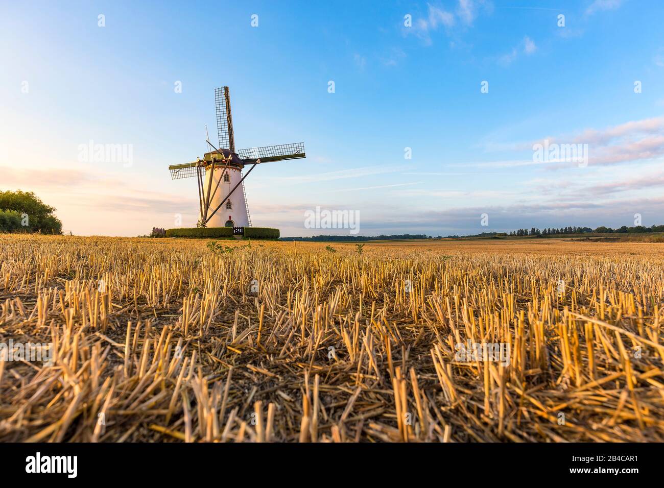A windmill near the dutch village Middelburg and Nieuw- en Sint Joosland on a field. Stock Photo