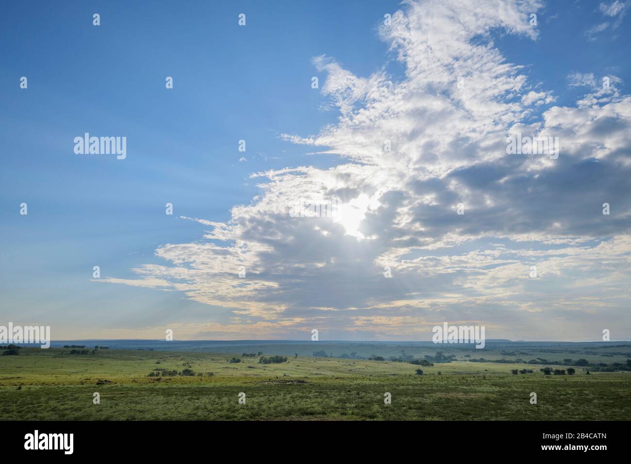 Masai mara landscape hi-res stock photography and images - Alamy