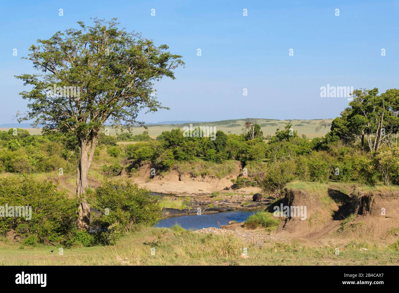 Masai Mara Landscape High Resolution Stock Photography and Images - Alamy