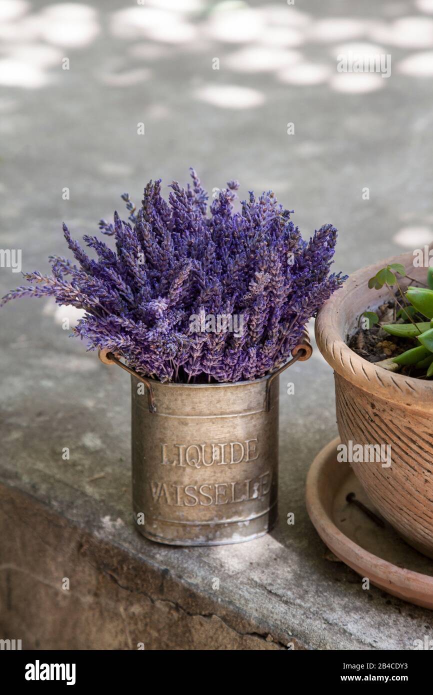 little still life with purple lavender in a tin vase on a street in Provence Stock Photo