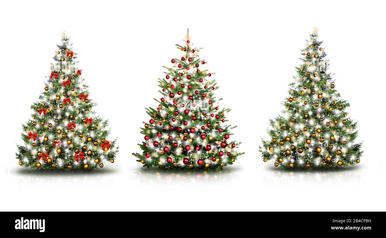 Drei Weihnachtsbäume Stock Photo