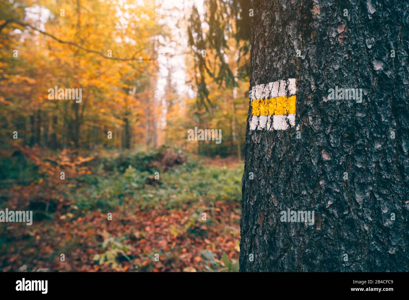 Footpath way marker hi-res stock photography and images - Alamy