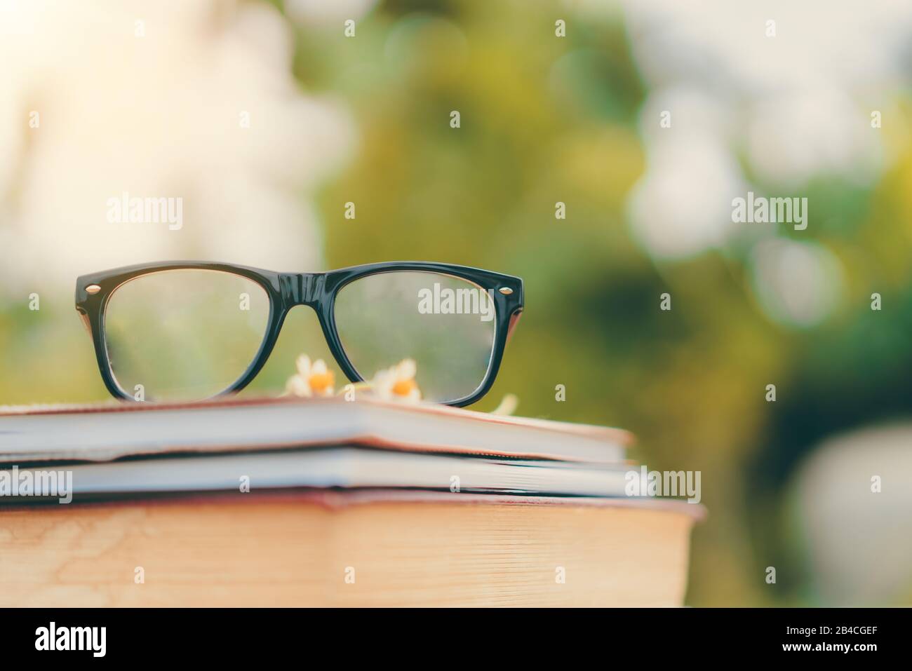 Soft focus retro style books and eye glasses with nature background