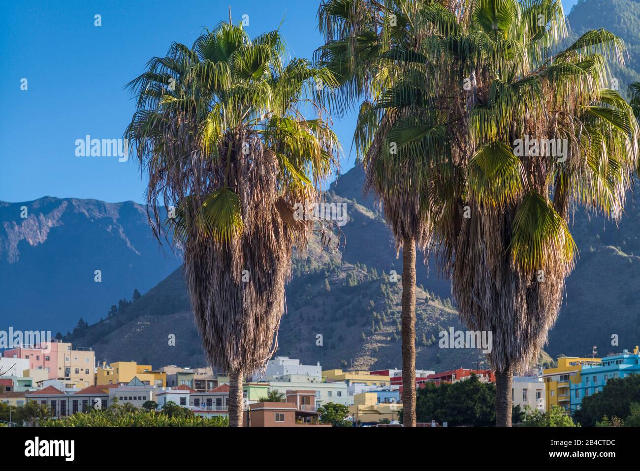 Spain, Canary Islands, La Palma Island, Los Llanos de Aridane, elevated city view Stock Photo