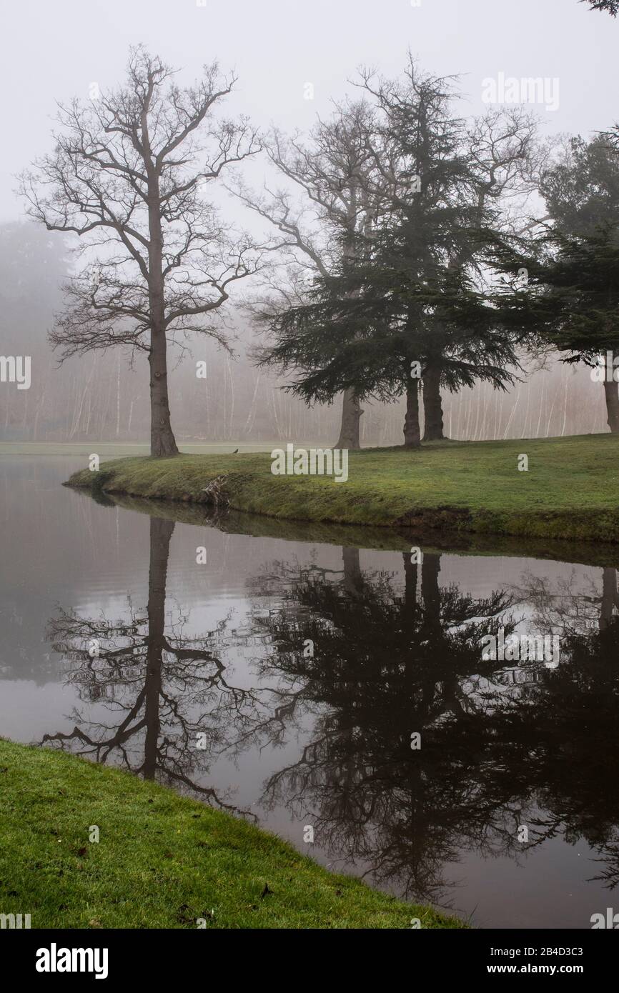 reflection of trees in water on misty morning Stock Photo
