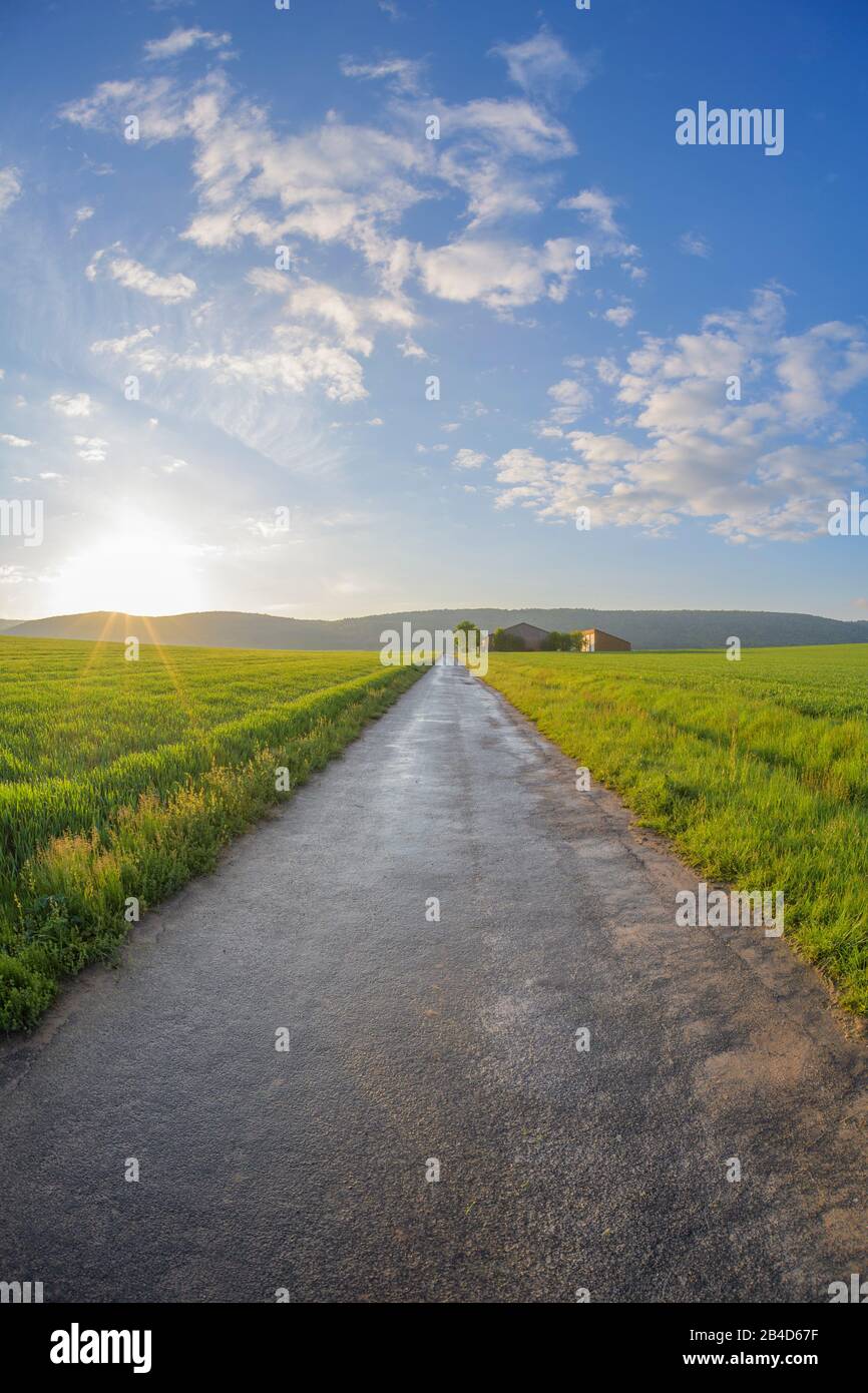 Field landscape with road and sun in spring Stock Photo - Alamy
