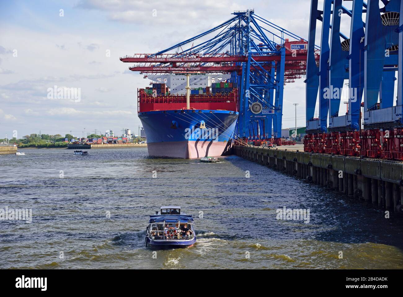 Europe, Germany, Hanseatic City of Hamburg, Elbe, port, container terminal Tollerort, container ship Cosco Shipping Virgo on the quayside, Stock Photo