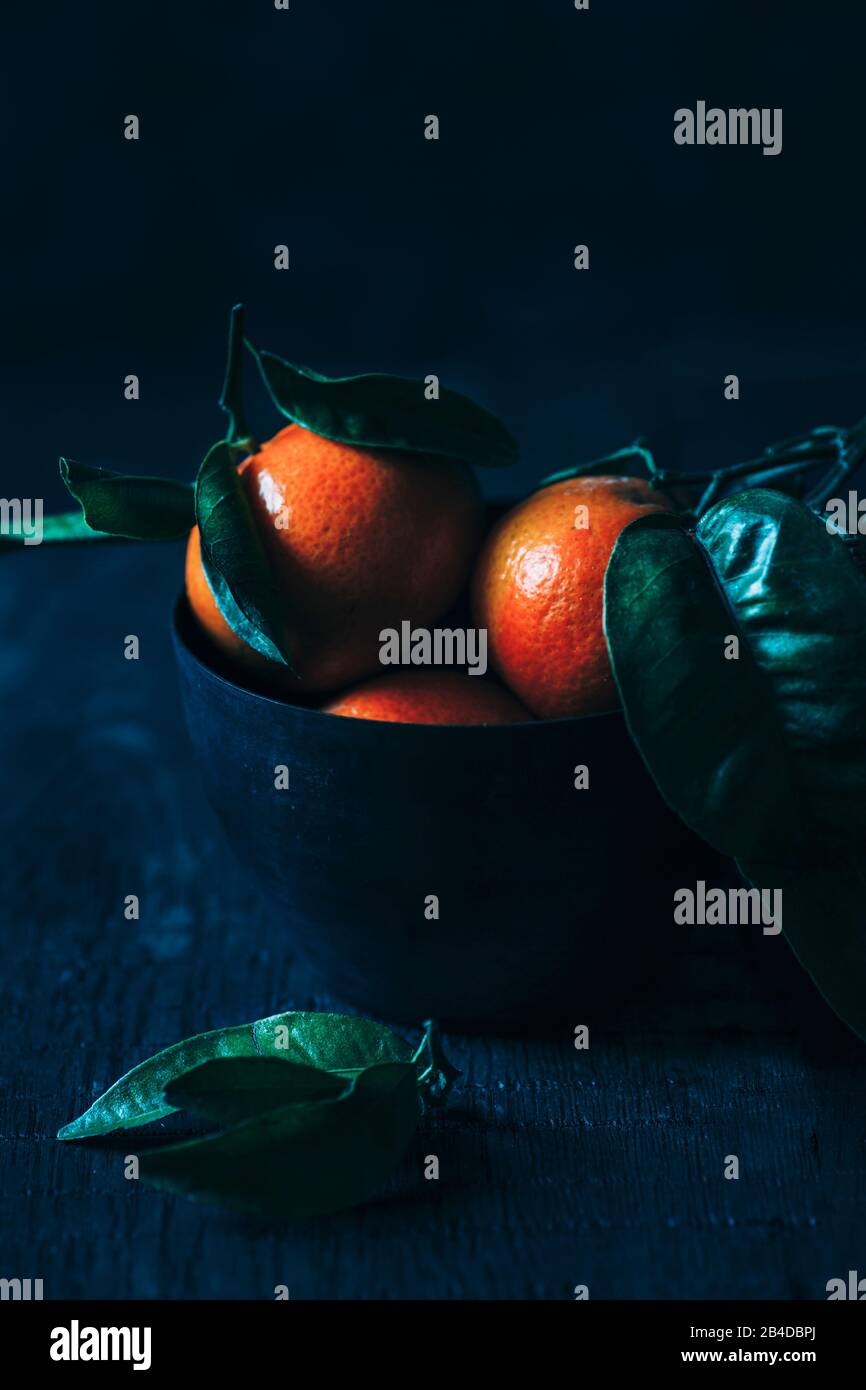 Mandarins on a dark background in a cup Stock Photo