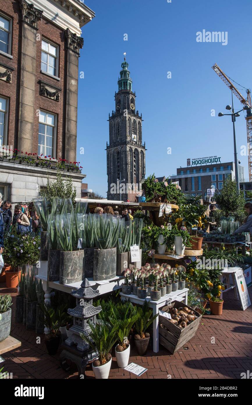 Flower Market Groningen, Netherlands Stock Photo Alamy