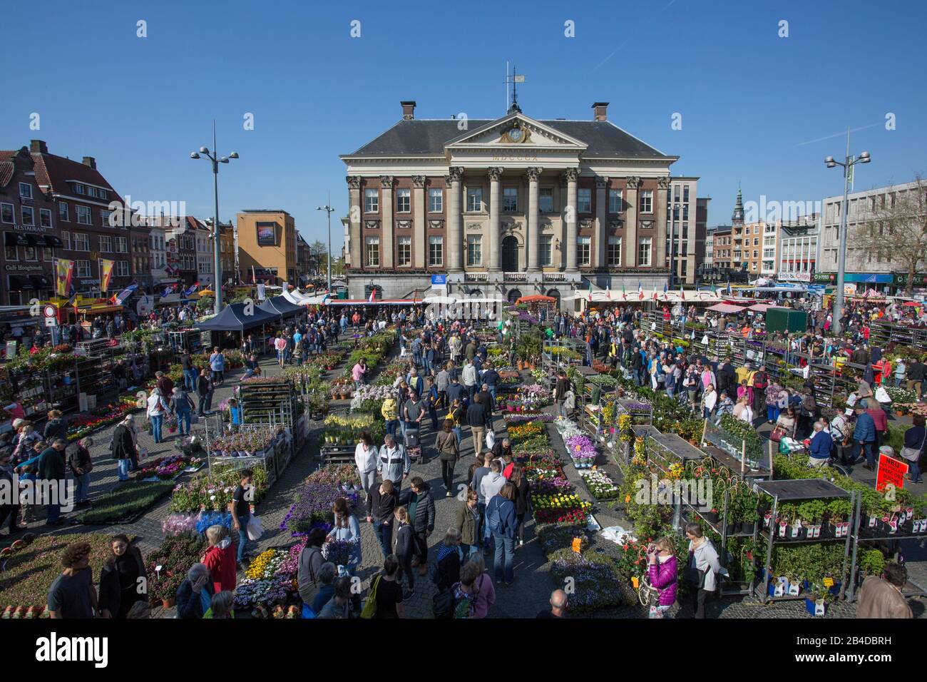 Flower Market Groningen, Netherlands Stock Photo Alamy