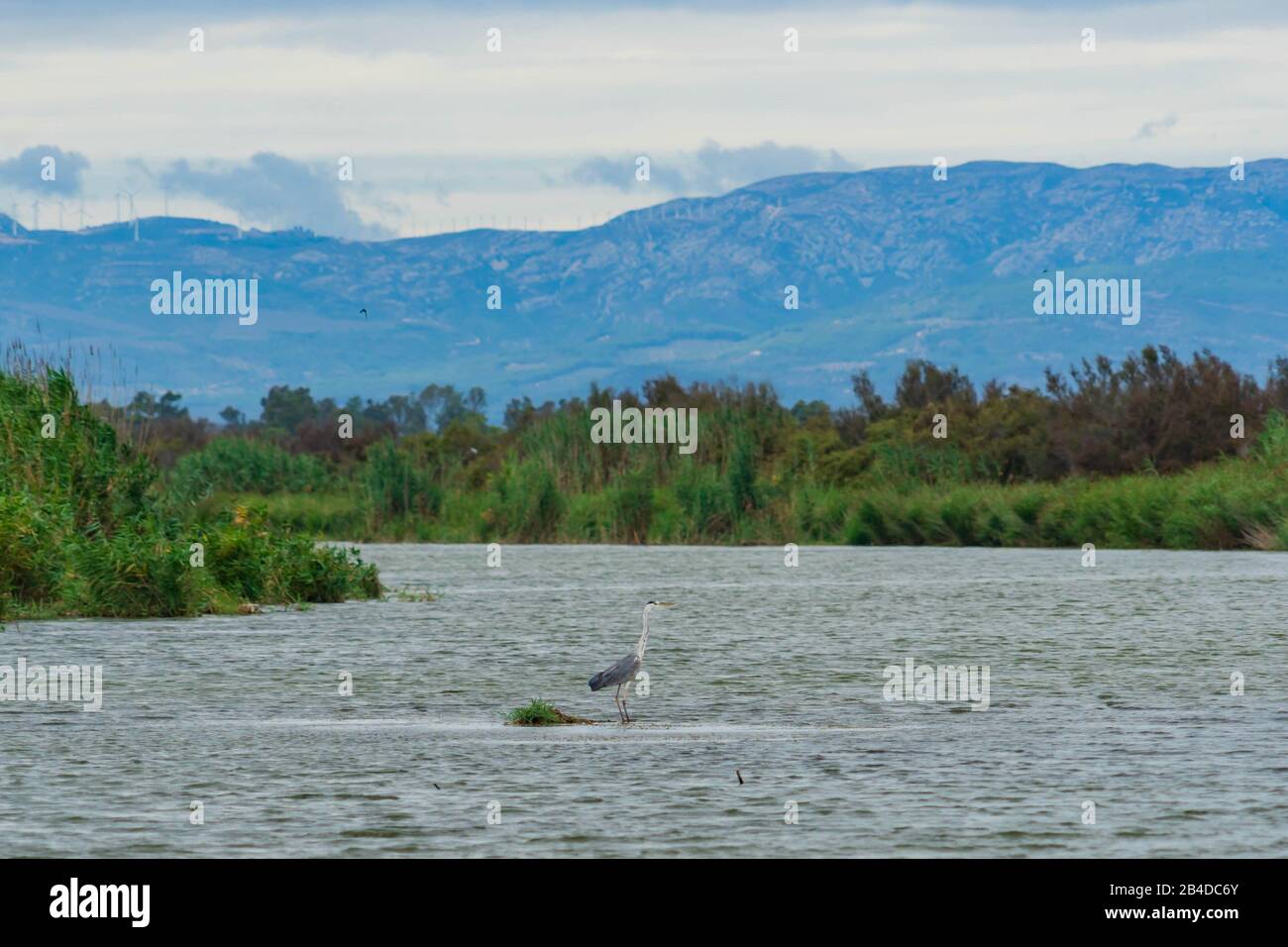 Beautiful Protected Wetlands in Ebro River Delta, Catalonia, Spain Stock Photo