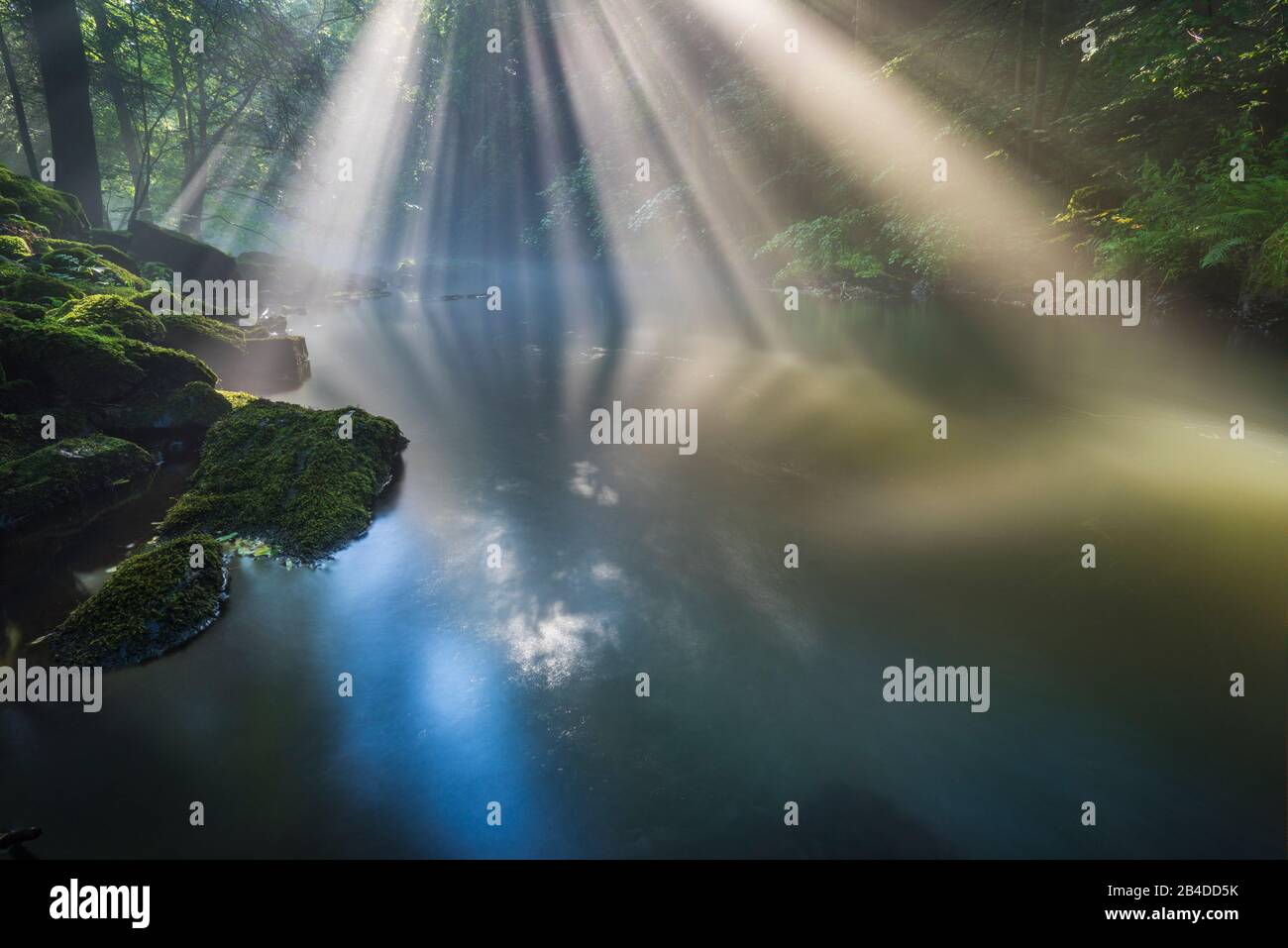 Reflexes shade hi-res stock photography and images - Alamy