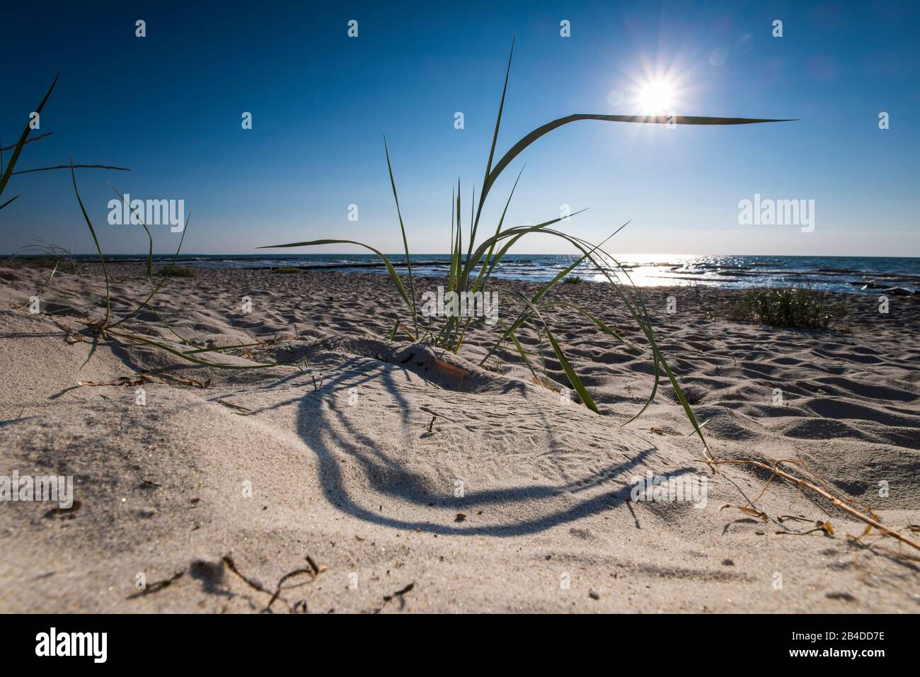 Baltic Sea, beach, sun Stock Photo