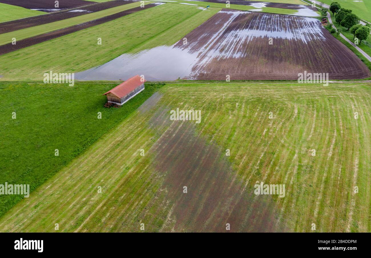 Flooded fields after heavy rain, Bavaria, Germany, Europe Stock Photo