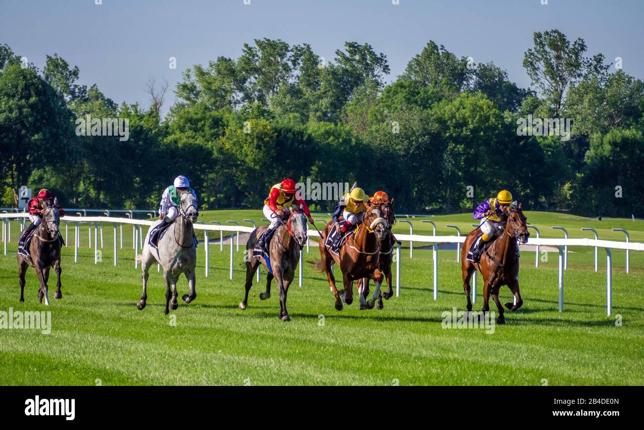 Horse racing on the racecourse in Munich Daglfing, Upper Bavaria