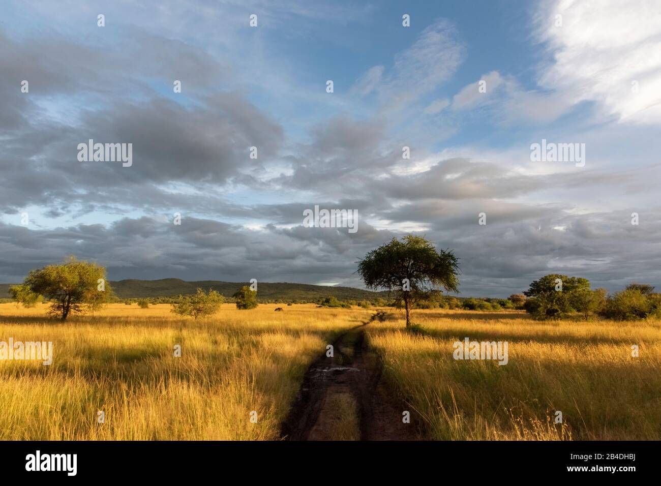 Tanzania, Northern Tanzania, Serengeti National Park, Ngorongoro Crater, Tarangire, Arusha and Lake Manyara, thunderstorm mood Stock Photo