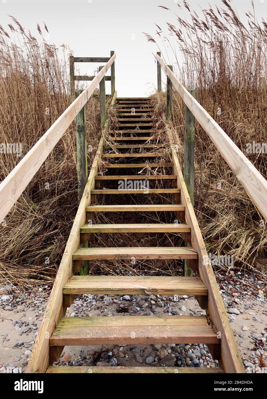 Treppe, Als, Alsen, Insel, Landschaft, Dänemark Stock Photo