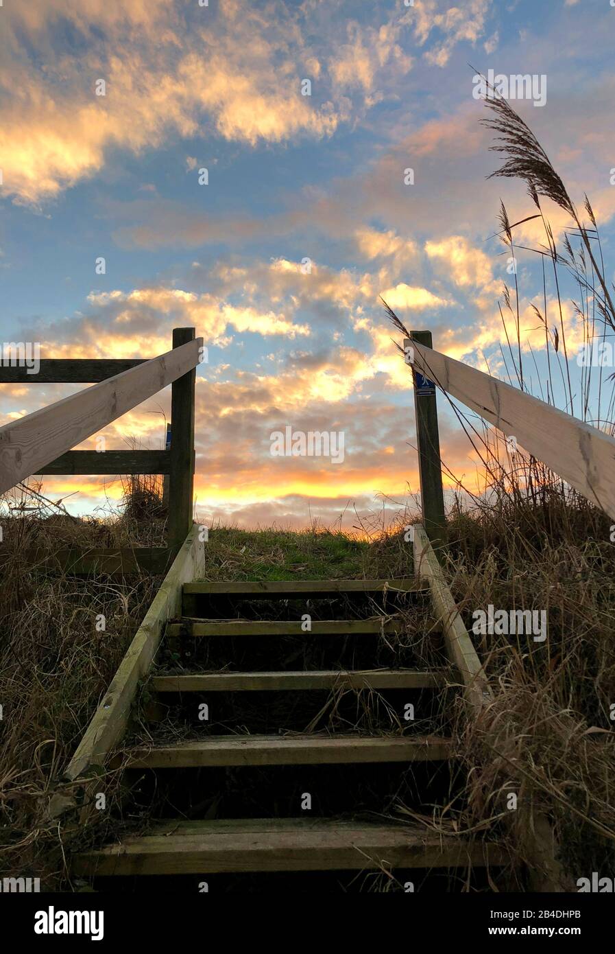 Treppe, Als, Alsen, Insel, Landschaft, Dänemark Stock Photo