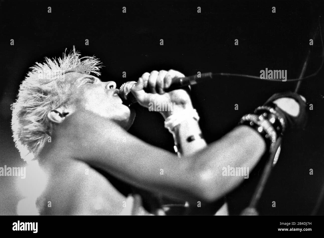 Billy Idol singing and performing on stage in California on his world tour without shirt:  William Michael Albert Broad (born 30 November 1955), known professionally as Billy Idol, is an English musician, singer, songwriter, and actor who holds dual British and American citizenship.[1] He first achieved fame in the 1970s emerging from the London punk rock scene as a member of Generation X. Subsequently, he embarked on a solo career which led to international recognition and made Idol a lead artist during the MTV-driven 'Second British Invasion' in the United States. The name 'Billy Idol' was i Stock Photo