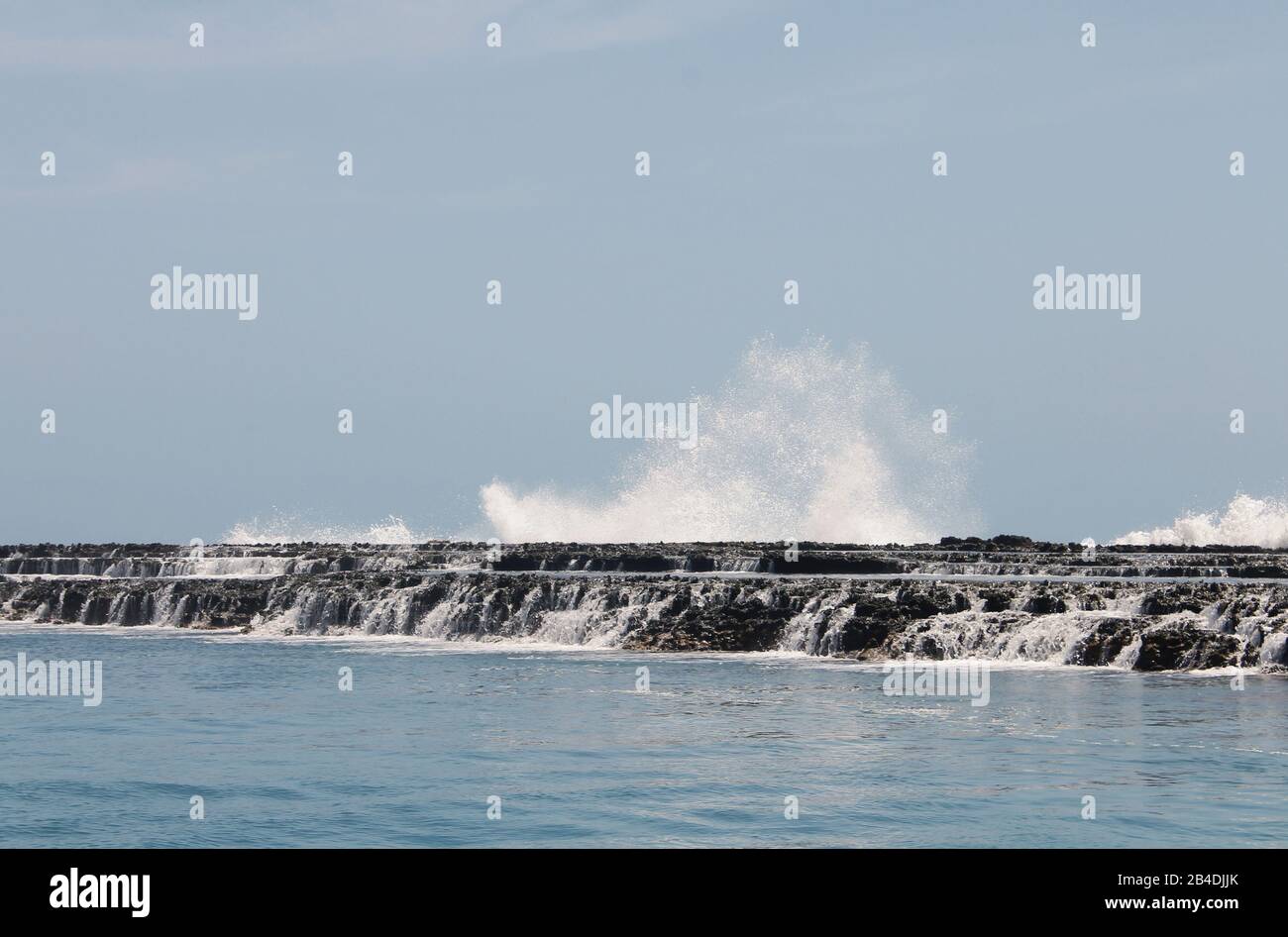 Crashing Waves, cormorant and rocky Maceio, Brazil. Stock Photo