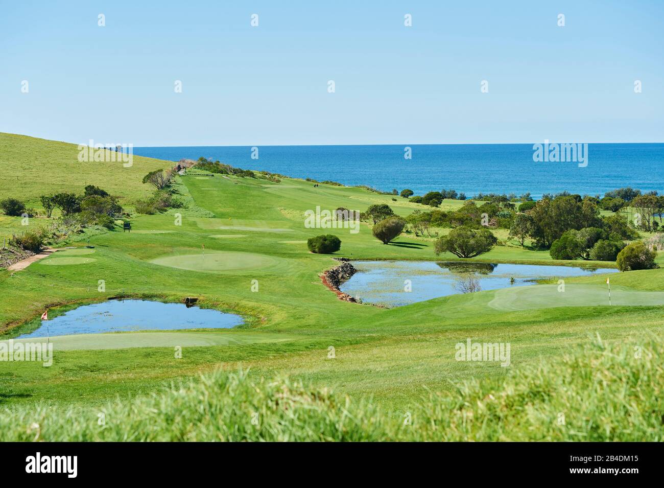 Golf course near Gerroa directly at the sea in spring, Australia, Oceania Stock Photo