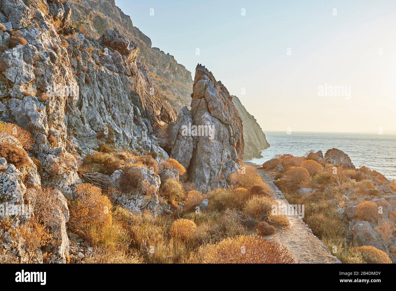 Landscape, Paligremnos beach at the coast, vegetation, Crete, Greece Stock Photo