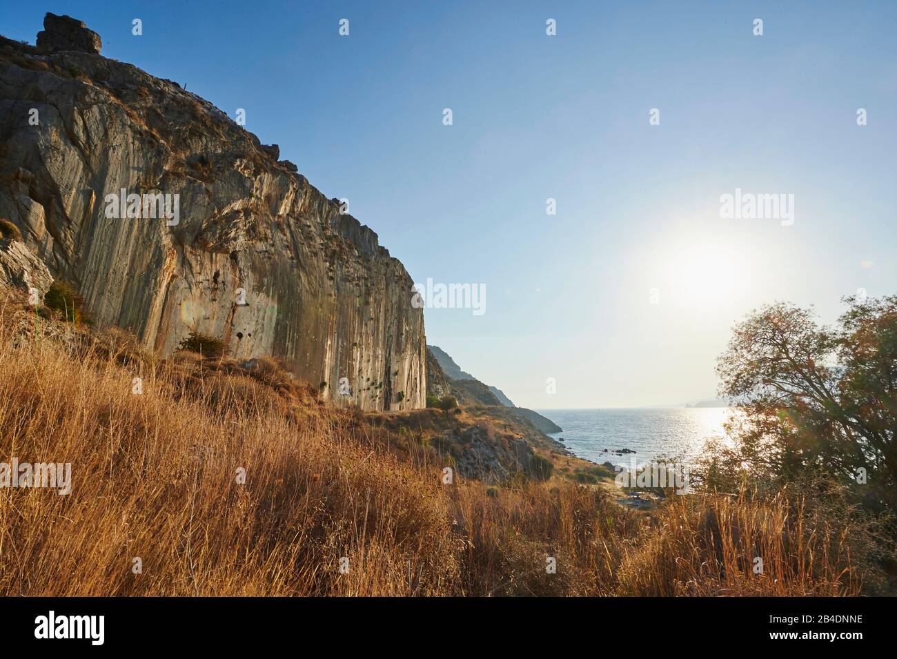 Landscape, rock wall at Paligremnos beach on the coast, vegetation, Crete, Greece Stock Photo