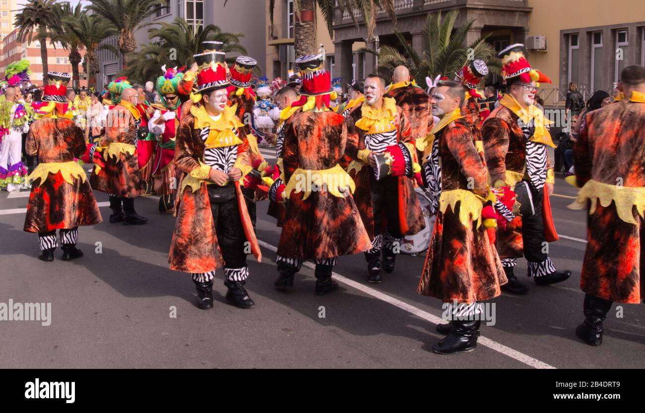 LAS PALMAS, SPAIN - February 29, 2020: Music and dance collectives, murgas  and comparsas, participate in the main Carnival parade as it crosses the ci  Stock Photo - Alamy