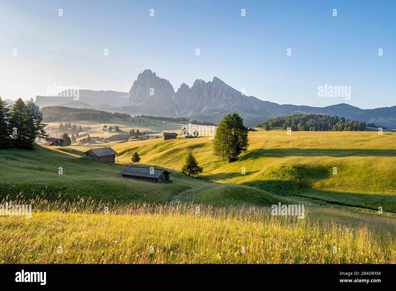 Alpe di Siusi, Castelrotto, South Tyrol, Province of Bolzano, Italy, Europe. Spring on the Alpe di Siusi with views of the Langkofel massif Stock Photo