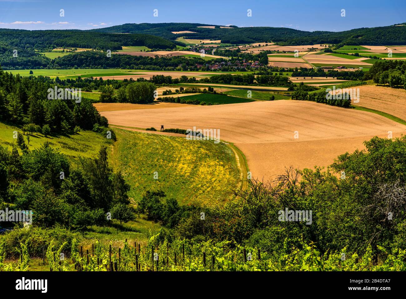 Deutschland, Bayern, Unterfranken, Fränkisches Saaletal, Hammelburg, Blick über das Ganstal, HG Untereschenbach Stock Photo