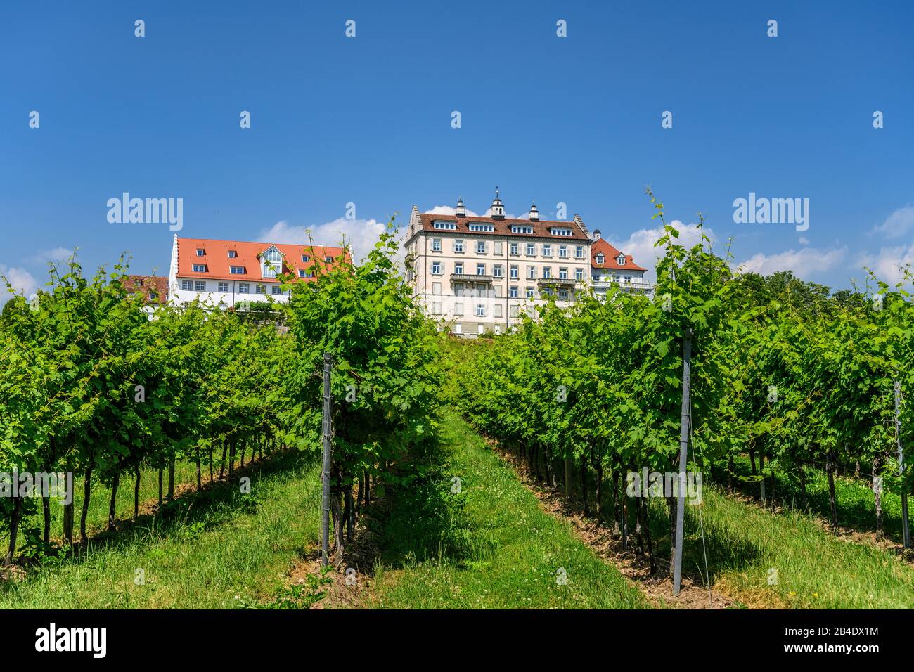 Single date kirchberg in tirol. Mann sucht frau gssing. Burgkirchen frau kennenlernen. Single stadt gries. Sextreffen in Remda-Teichel. Alland partnersuche ab Singles und umgebung aus wllersdorf-steinabrckl, Sex