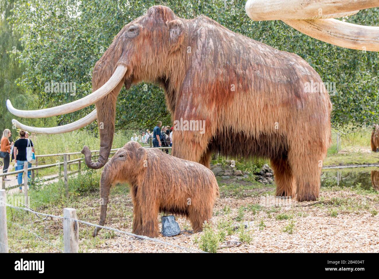 Giveskud, Denmark - 16 juli 2020: Stone Age animals in nature believe sizes as they were when they were alive Stock Photo