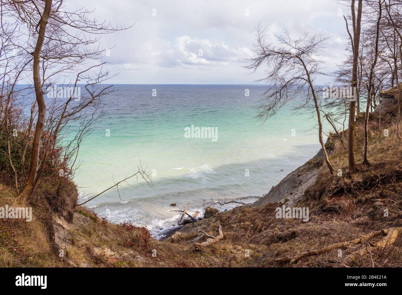 Europa, Dänemark, Møn, Blick auf die wilde Uferzone der Kreidefelsen von Møns Klint, Stock Photo