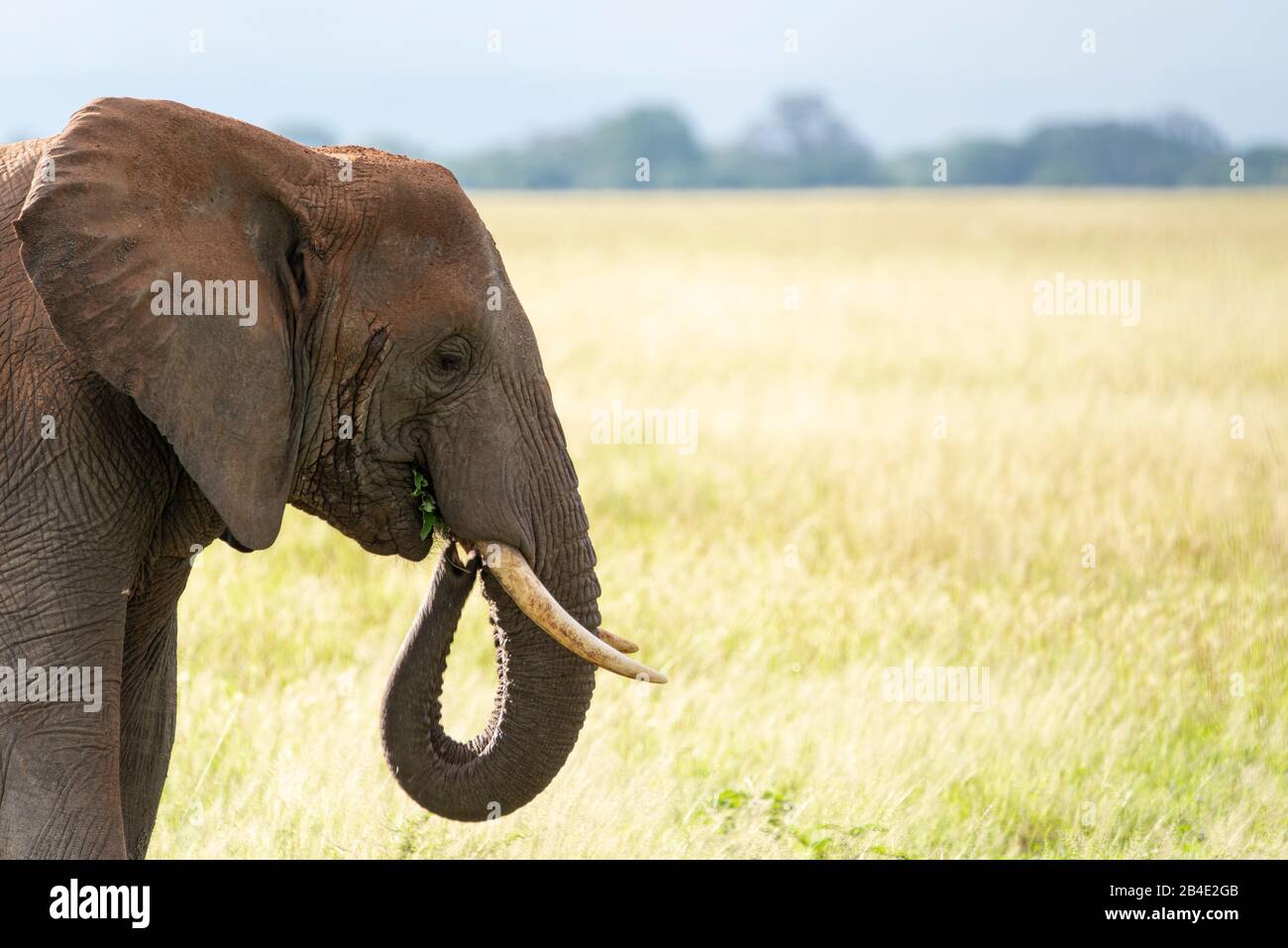 A foot, tent and jeep safari through northern Tanzania at the end of