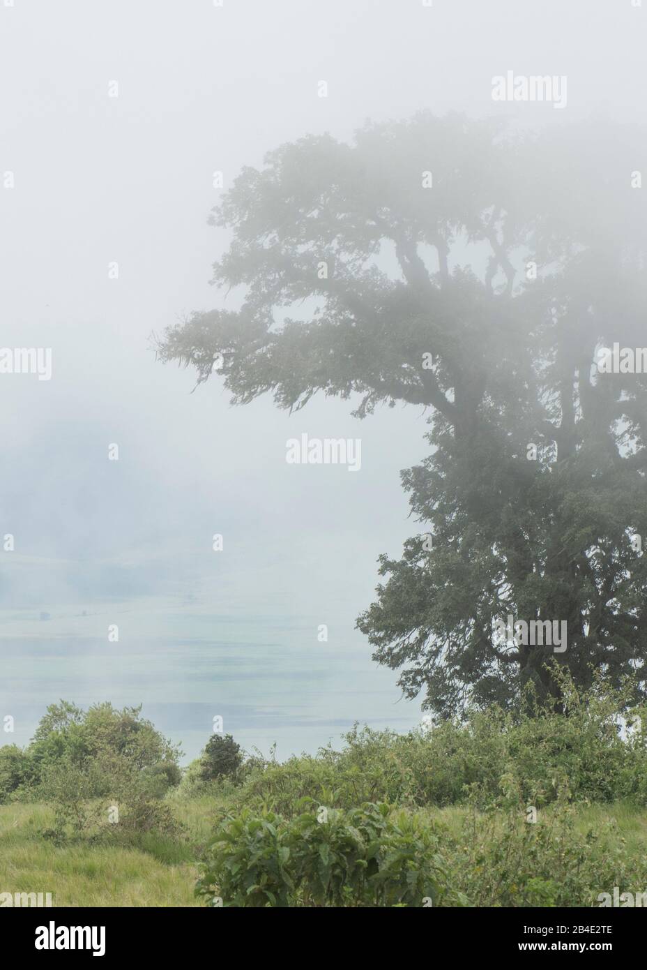 From northern hemisphere hires stock photography and images Alamy