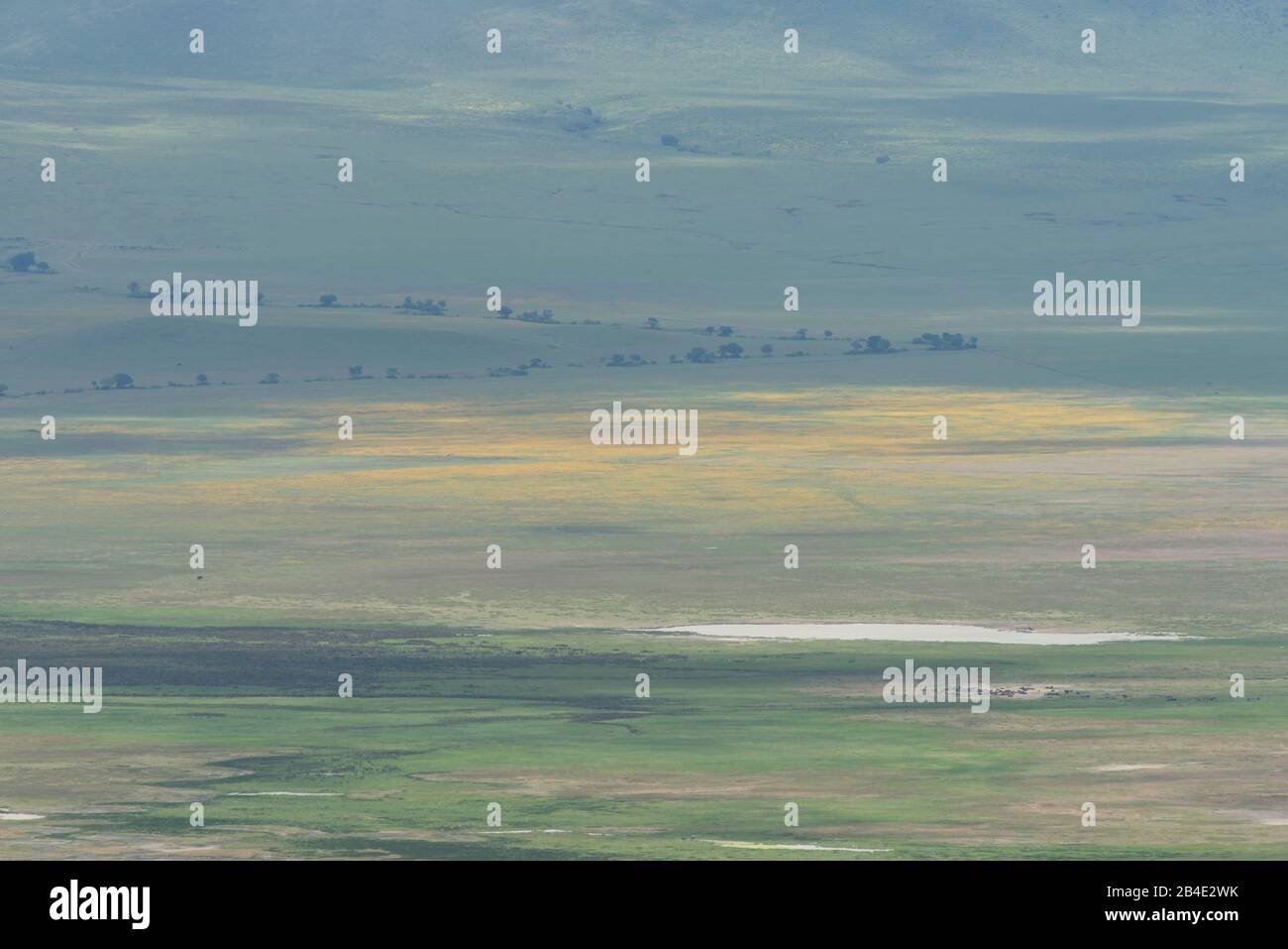 A foot, tent and jeep safari through northern Tanzania at the end of