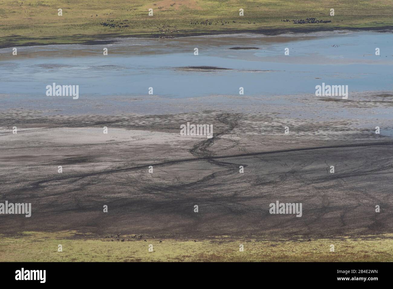 A foot, tent and jeep safari through northern Tanzania at the end of the rainy season in May. National Parks Serengeti, Ngorongoro Crater, Tarangire, Arusha and Lake Manyara. View from the crater rim Ngorongoro to Lake Magadi, traces of the game are clearly visible. Stock Photo