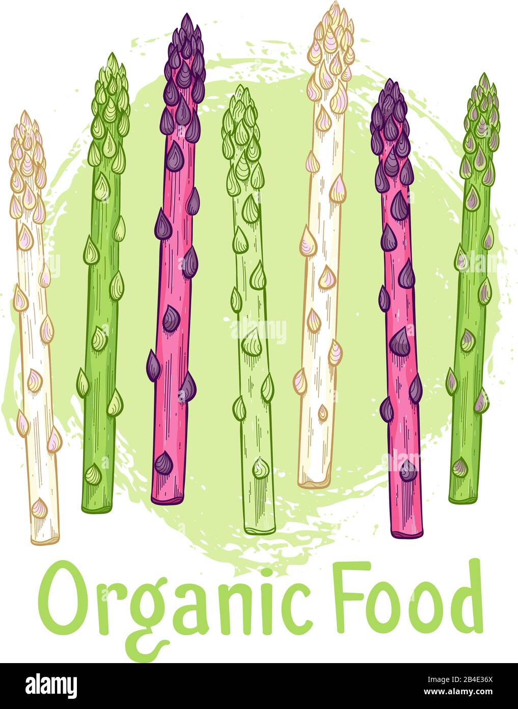 Organic asparagus market hand drawn Stock Vector