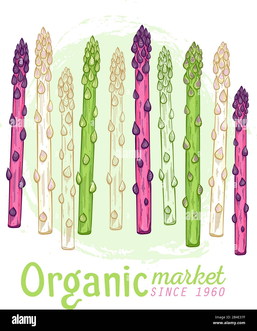 Organic asparagus market hand drawn Stock Vector