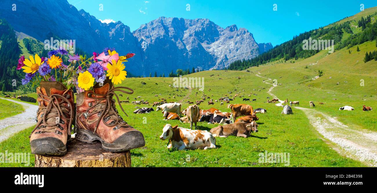 Wanderschuhe mit Blumen in schöner bayerischer Landschaft [M] Stock Photo