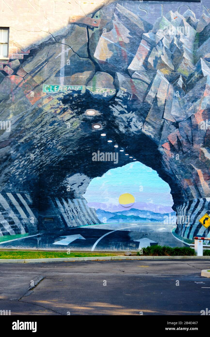 Tunnel Vision Mural Columbia South Carolina home of the Statehouse Capital building with a rich