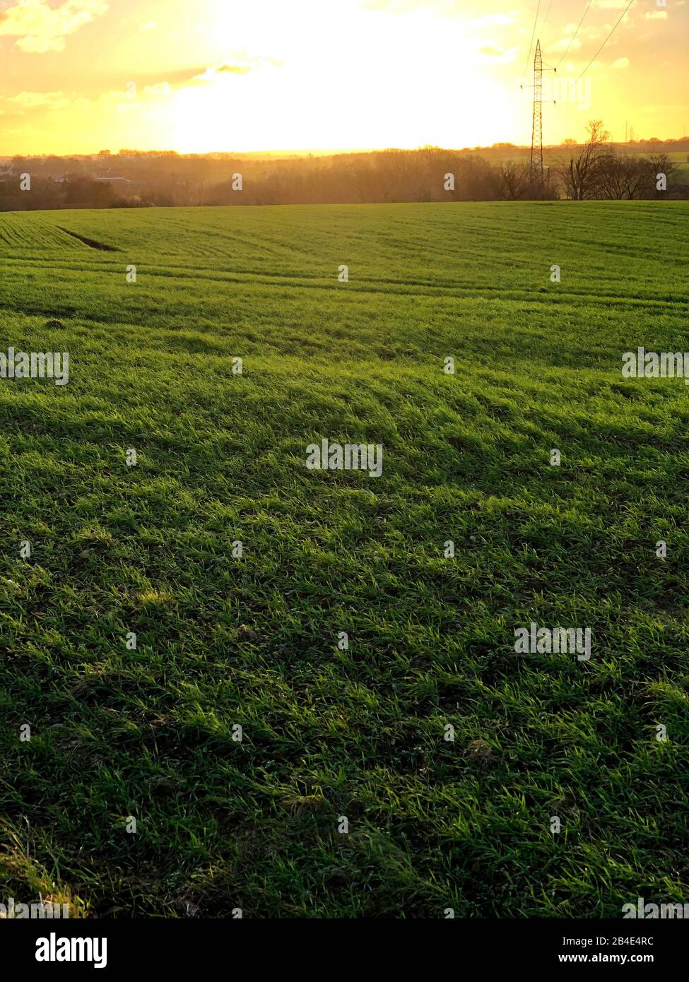 Feld; Als; Alsen; Insel; Landschaft; Dänemark Stock Photo