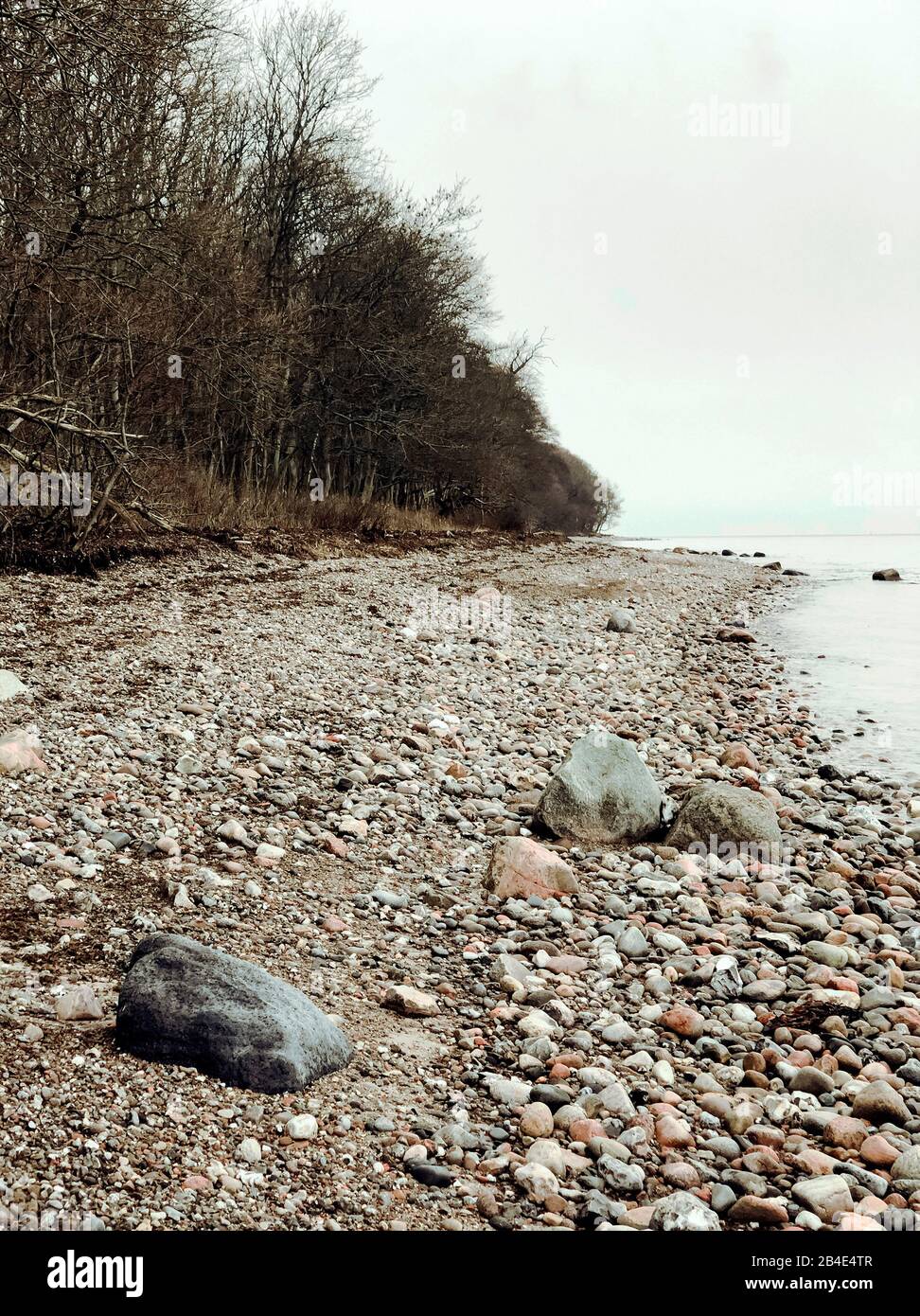 Bäume; Meer; Steine; Als; Alsen; Insel; Landschaft; Dänemark Stock Photo