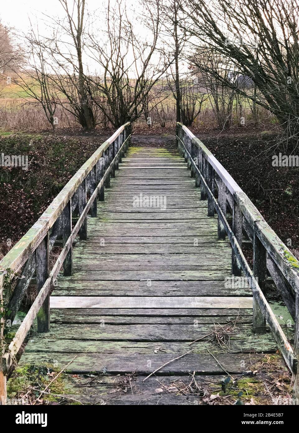 Burginsel; Brücke; Holzbrücke; Als; Alsen; Insel; Landschaft; Dänemark Stock Photo