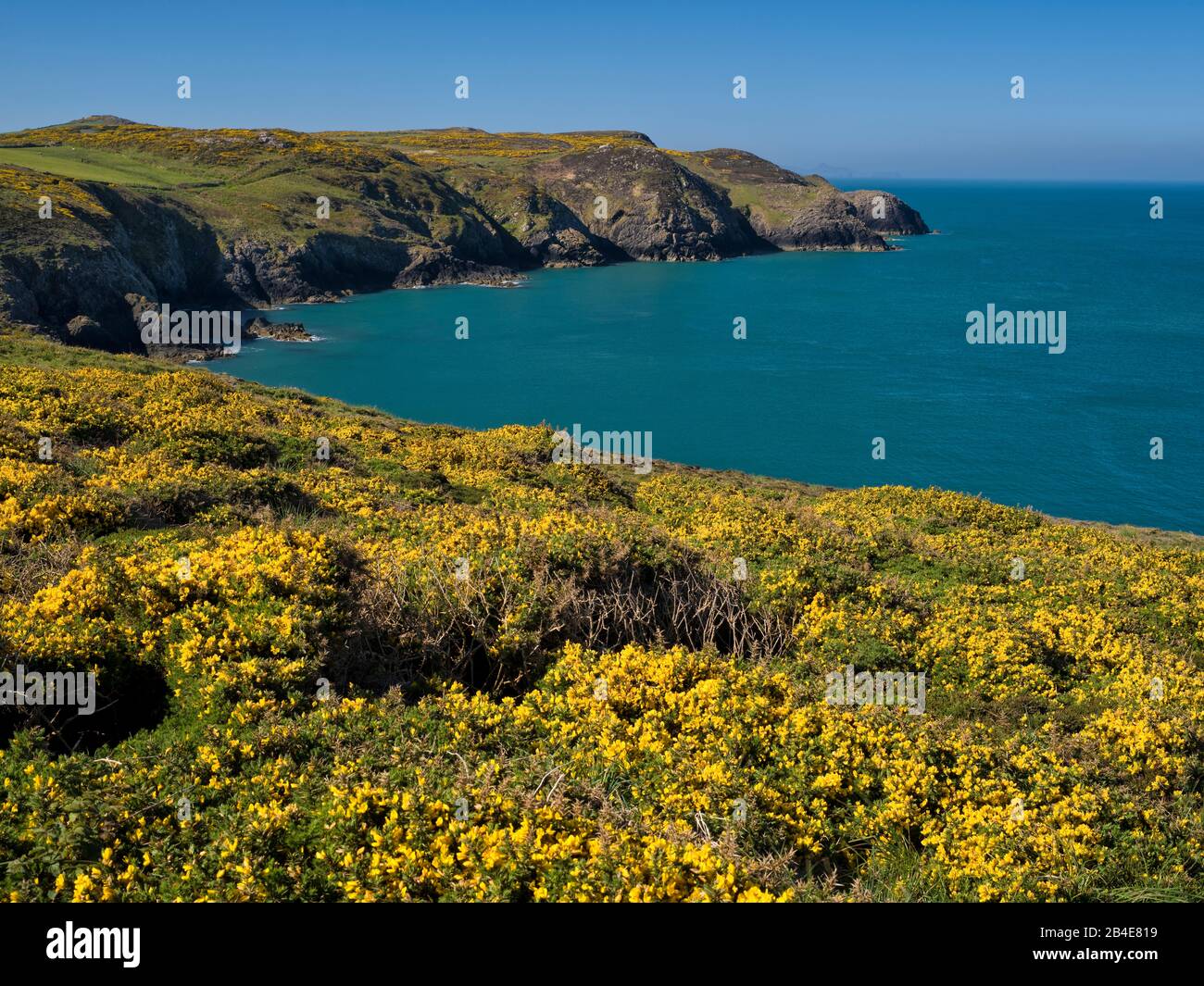 Europe, UK, UK, Wales, Pembrokeshire Coast National Park, cliff at Strumble Head at Fishguard Stock Photo