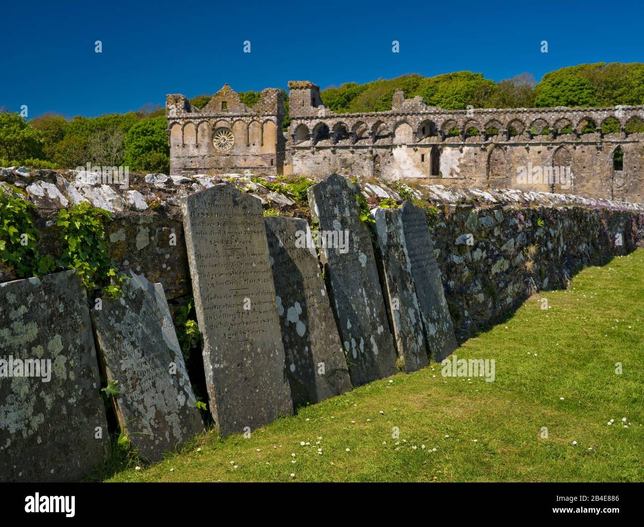 Europe, UK, UK, Wales, Pembrokeshire Coast, St. David's, Monastery with old gravestones on wall in front of ruin Bishops Palace Stock Photo
