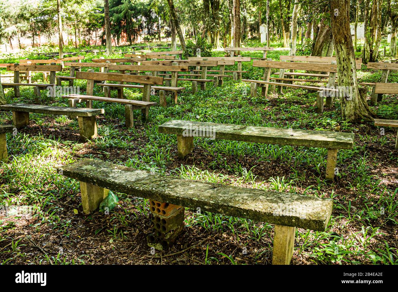Caibi Santa Catarina fonte: c8.alamy.com Fonte: c8.alamy.com