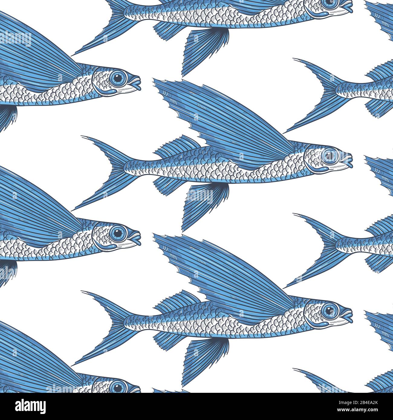 Flying fish exocoetidae hi-res stock photography and images - Alamy