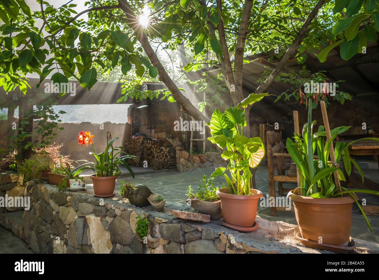 Armenia, Areni, cafe courtyard, morning Stock Photo - Alamy